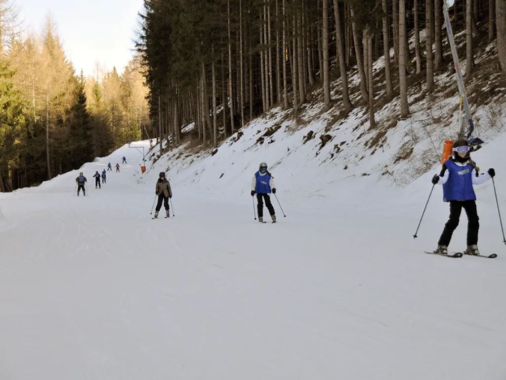 Skifahrende auf der Waldpiste im Abendlicht.